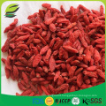 dried goji berry organic for health benefits